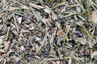 Aquarius Tea: Breathe Deep Into Community Blend